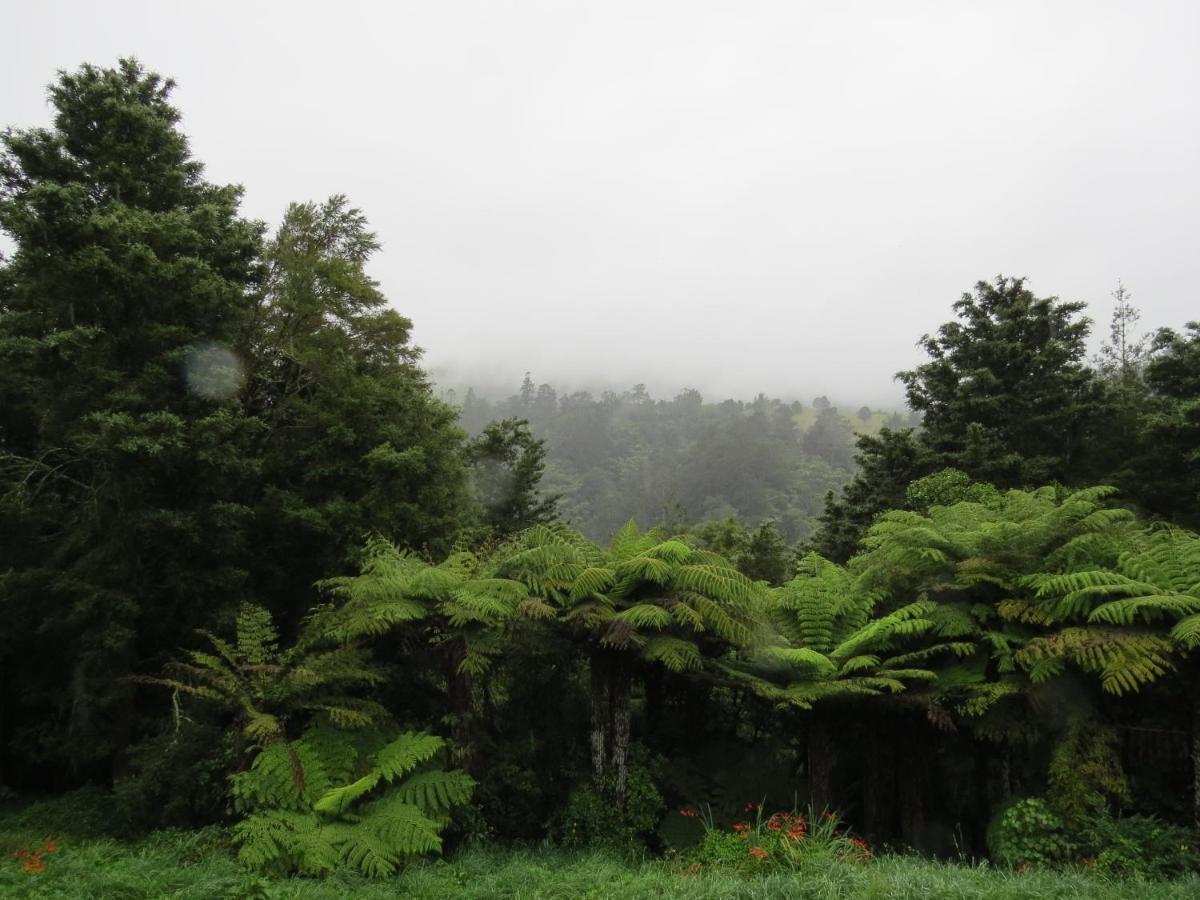 Crown Ridge Miners Cottage Karangahake Exterior foto