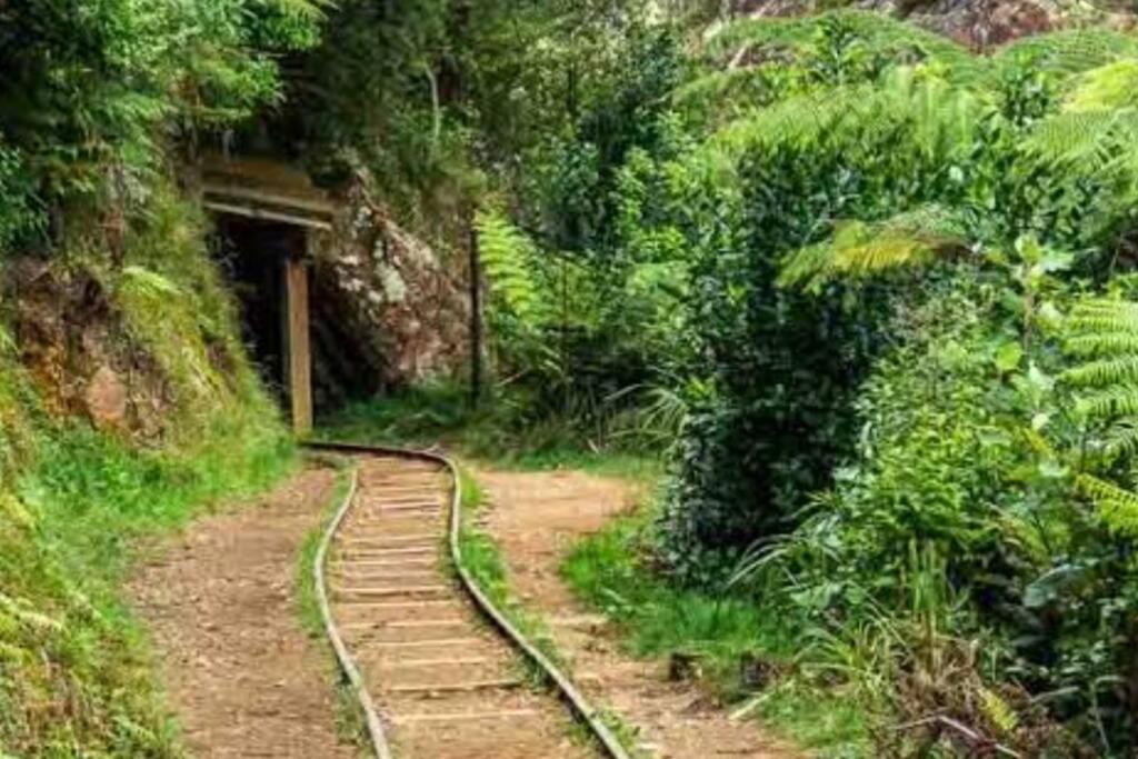 Crown Ridge Miners Cottage Karangahake Exterior foto