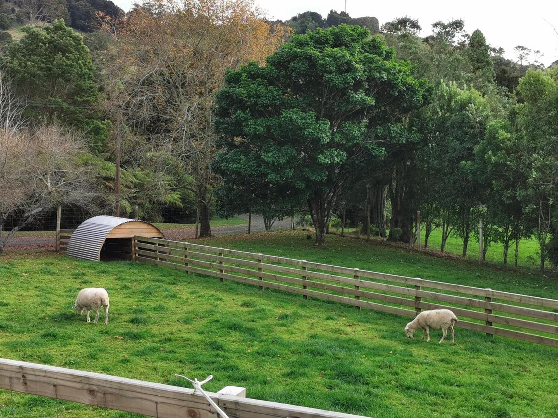 Crown Ridge Miners Cottage Karangahake Exterior foto